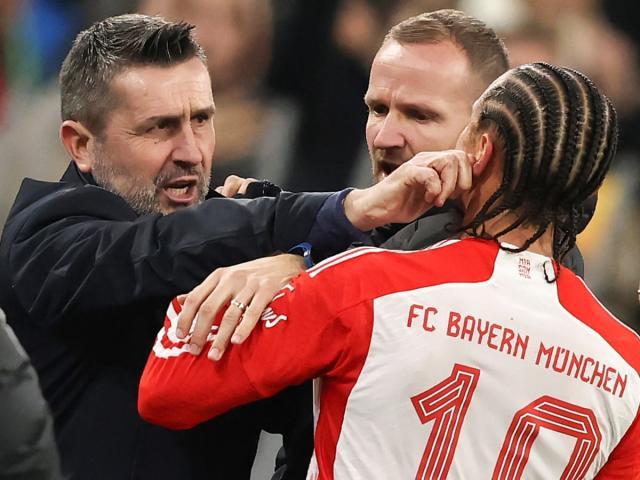 1706181121247033603.jpg 1706181121247033603.jpg